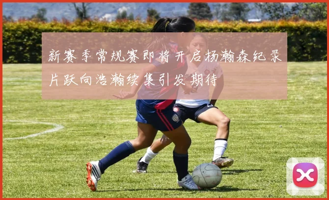 新赛季常规赛即将开启杨瀚森纪录片跃向浩瀚续集引发期待
