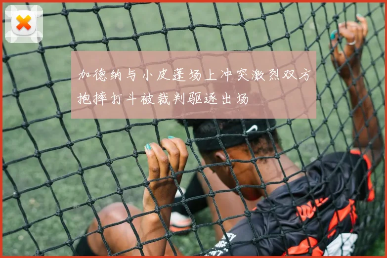 加德纳与小皮蓬场上冲突激烈双方抱摔打斗被裁判驱逐出场