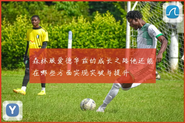 森林狼爱德华兹的成长之路他还能在哪些方面实现突破与提升